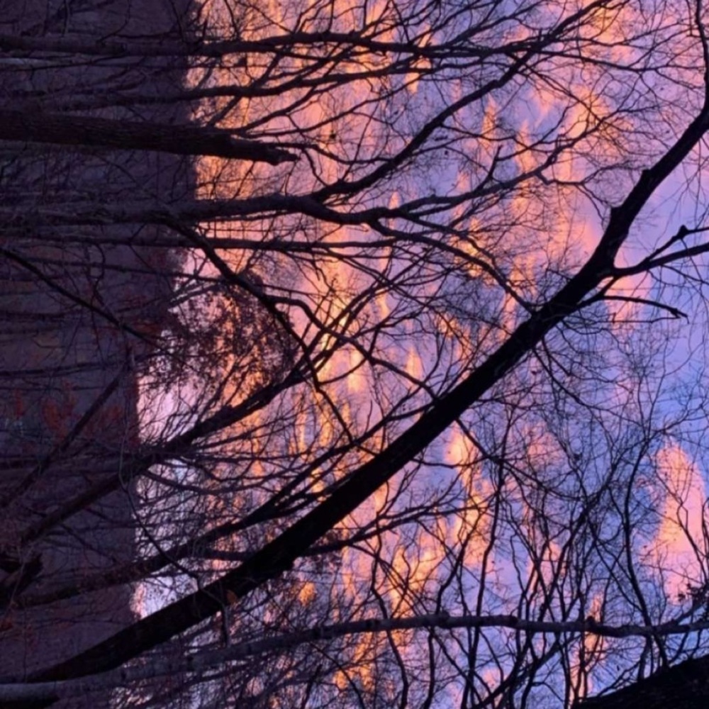 Meet your Posher, Maddy